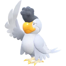 Squawkabilly-White